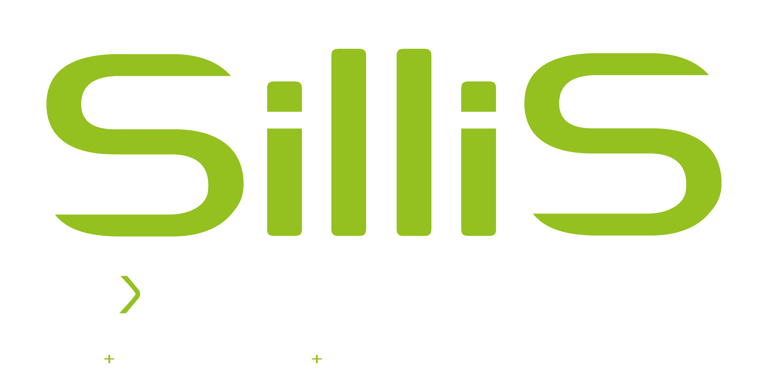 Sillis Experience